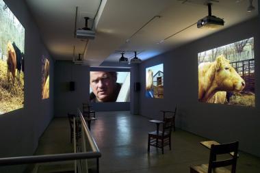  The Plains of Sweet Regret, 2004-07, video installation; photo credit the artist 